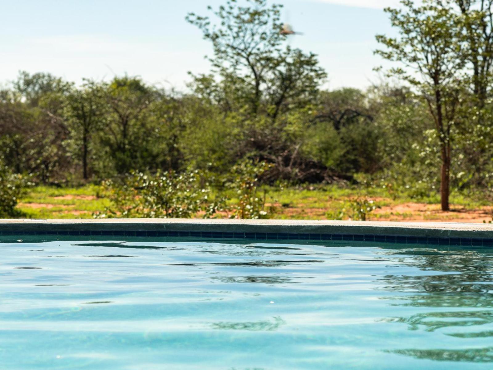 Kifaru Bush Camp Otel Outjo Dış mekan fotoğraf