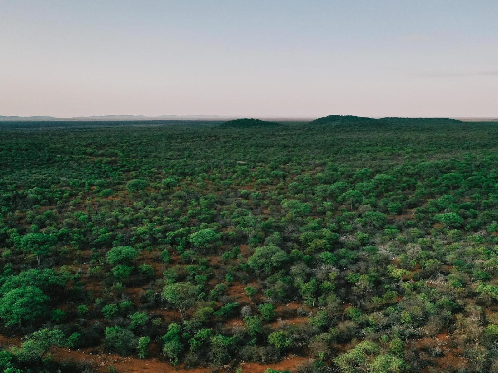 Kifaru Bush Camp Otel Outjo Dış mekan fotoğraf
