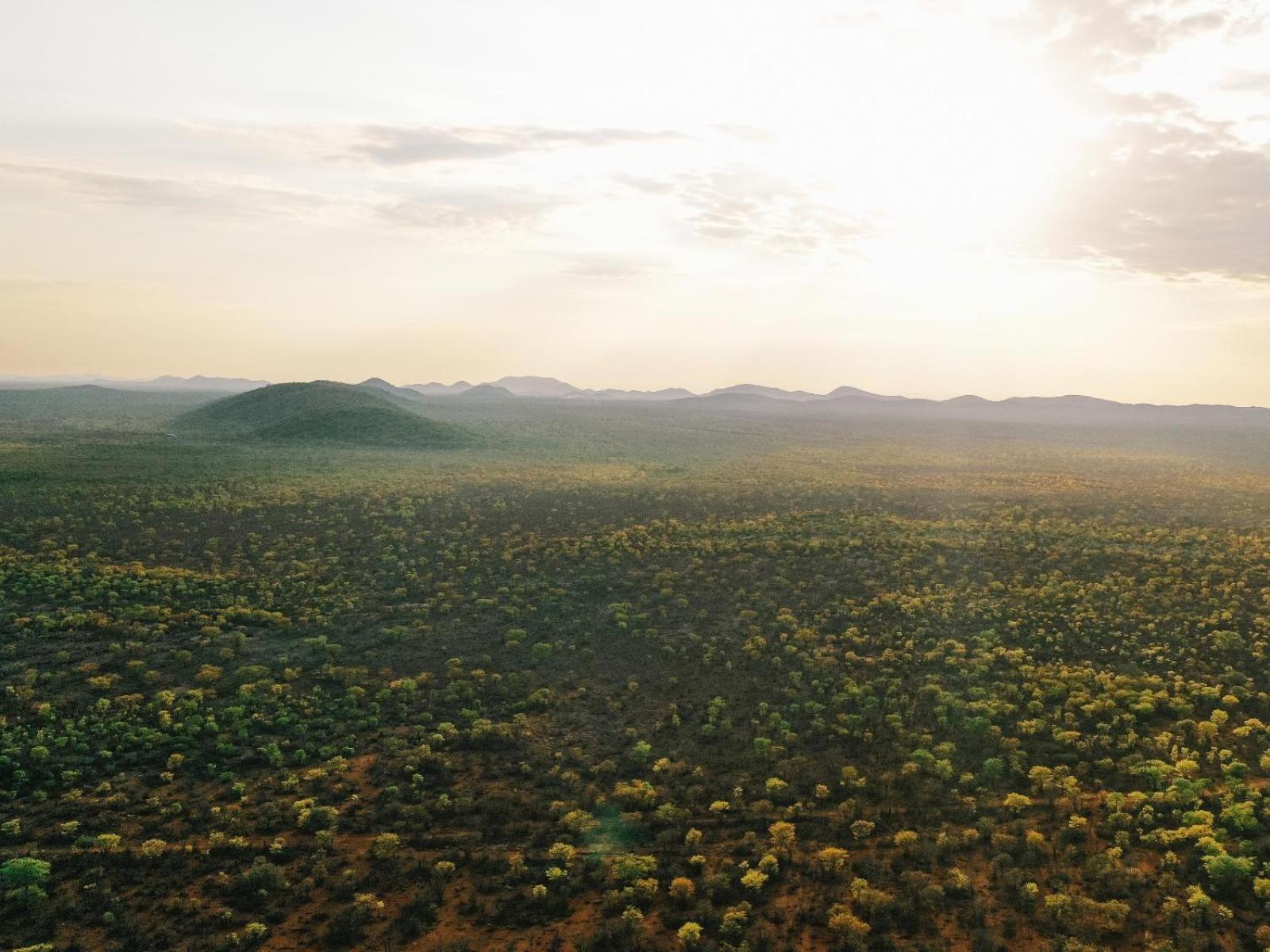 Kifaru Bush Camp Otel Outjo Dış mekan fotoğraf