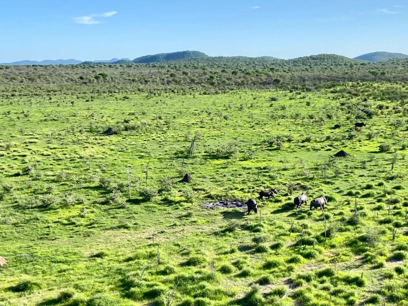 Kifaru Bush Camp Otel Outjo Dış mekan fotoğraf